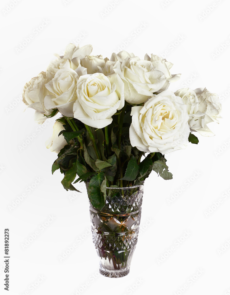 Beautiful White Roses Beautiful White Roses