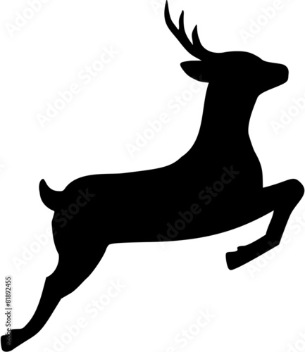 Jumping Roe Deer