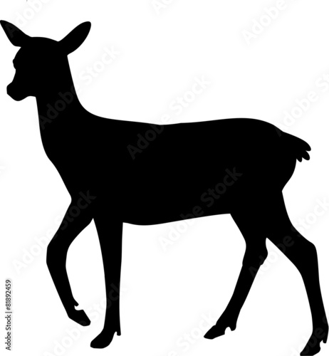 Canvas-taulu Silhouette of Roe Deer