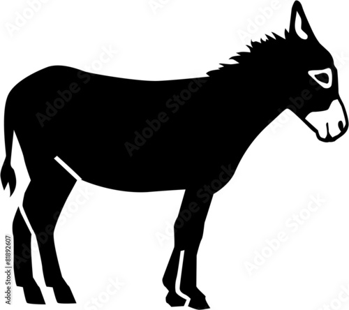 Leinwand Poster Real Donkey