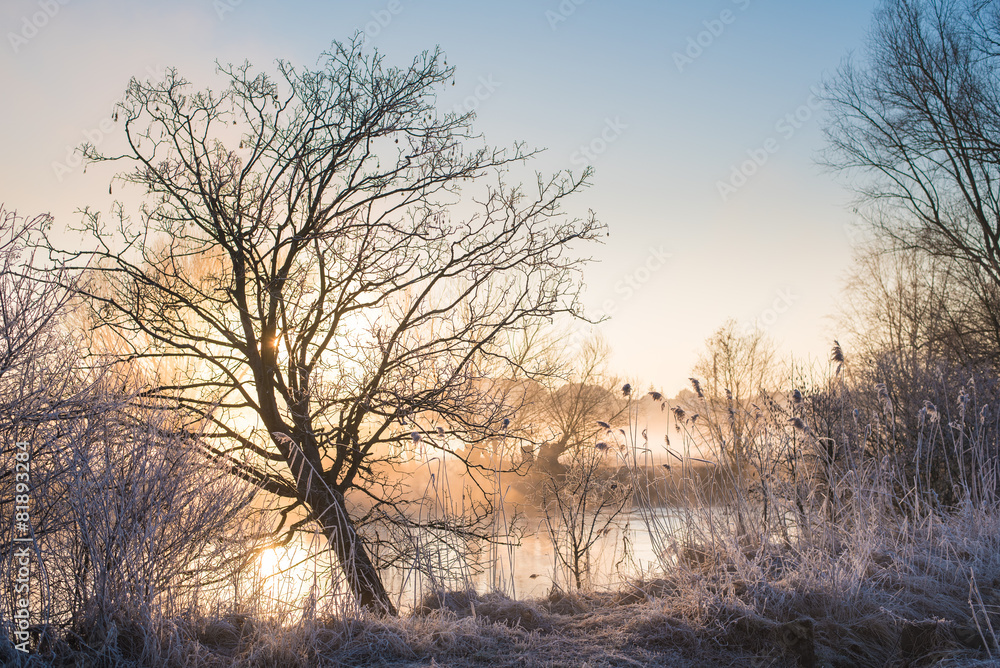 Sonnenaufgang an den Regnitzwiesen Sonnenaufgang an den Regnitzwiesen