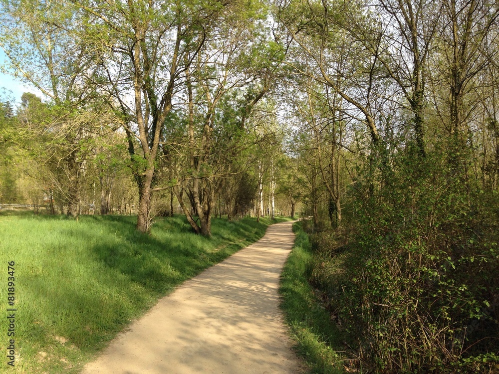 Naklejka premium Spring pathway