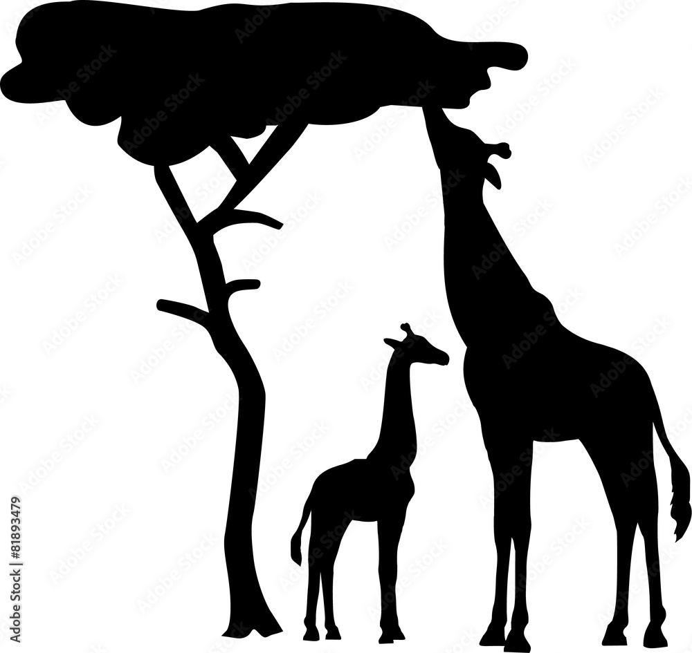 Obraz premium Giraffe Silhouette with tree