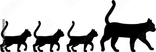 Cat family