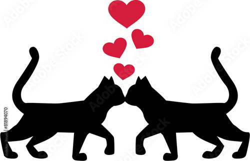 Cats in love