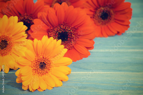 Fototapeta Naklejka Na Ścianę i Meble -  flower