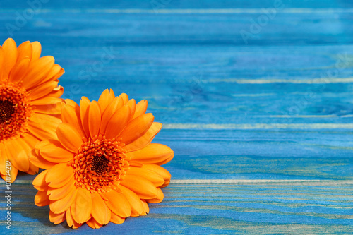 Fototapeta Naklejka Na Ścianę i Meble -  flower