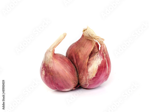 Shallot onions