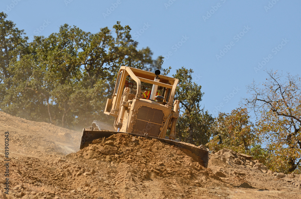 Fototapeta premium Bull Dirt
