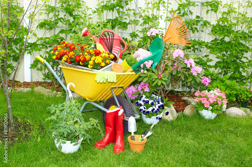 фотографія Gardening tools.