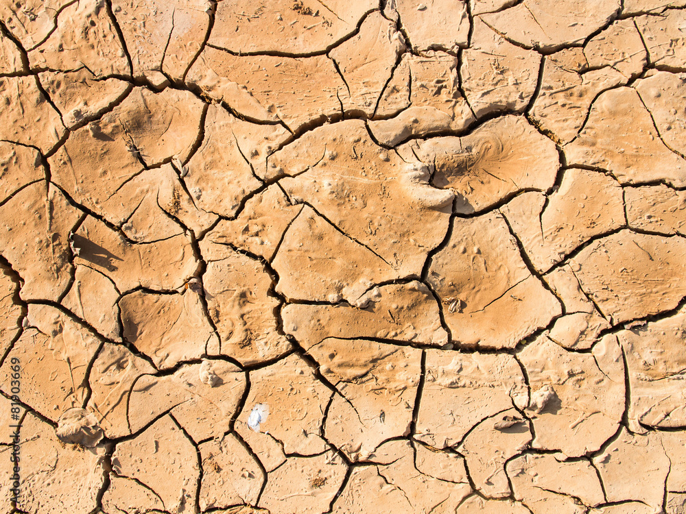 Fototapeta premium cracked earth