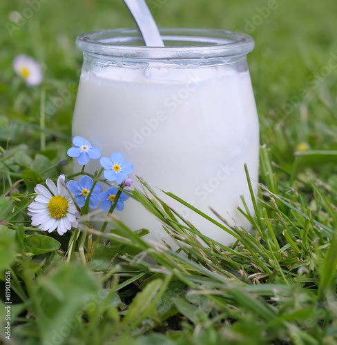 yaourt fait maison,diététique et santé