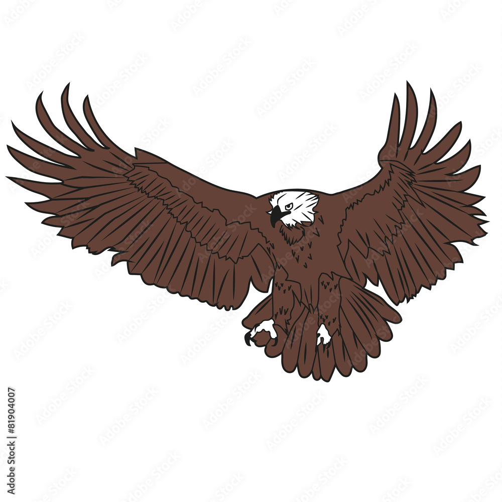 Obraz premium Adler V1