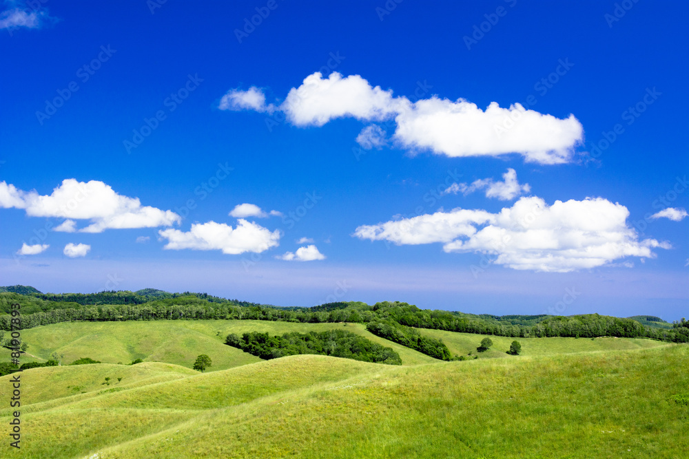 北の大地の草原風景