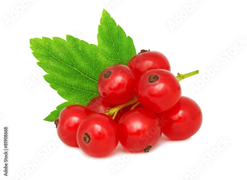 Photo One bunch of ripe redcurrant with green leaf (isolated)