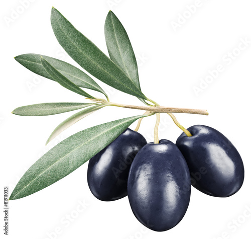 Black olives with leaves on a white background.