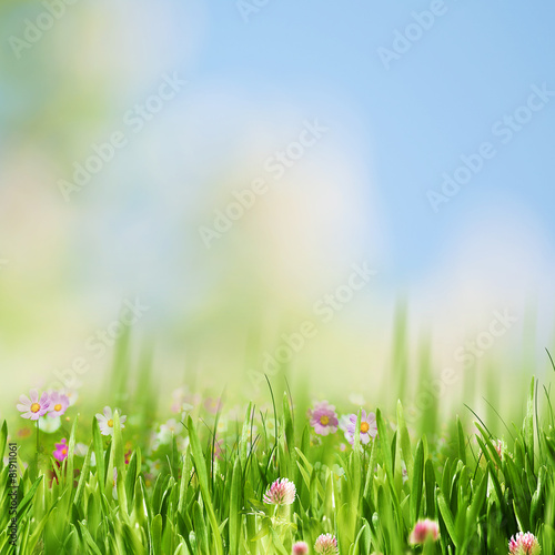 Spring gargen, abstract natural landscape for your design