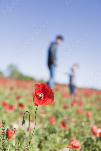 Mother and her little child having fun in a field, flower in for