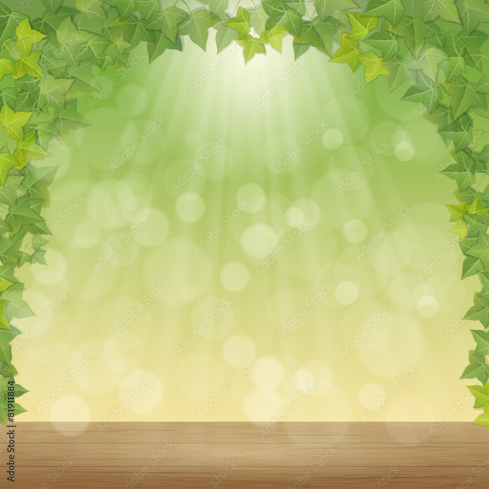 leaves and sun rays - vector spring background leaves and sun rays - vector spring background