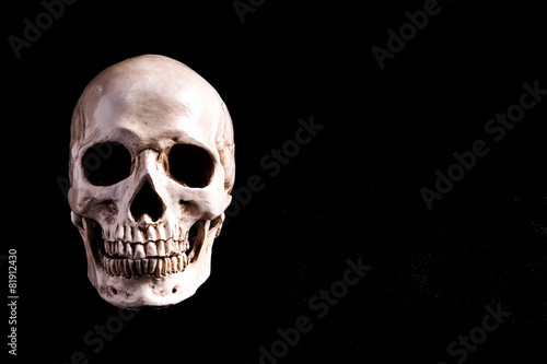 Skull Isolated on black