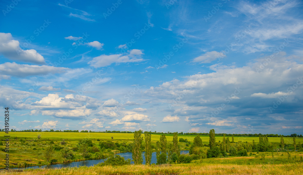 Fototapeta premium rural landscape