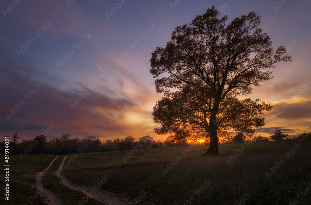 Warm autumn evening