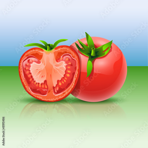tomatos 6