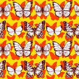 vector seamless pattern of butterflies