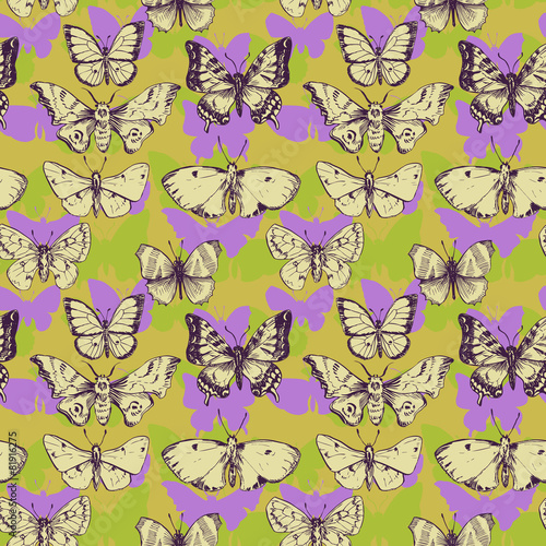 vector seamless pattern of butterflies