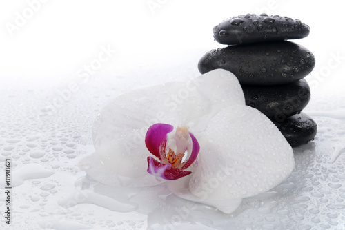 Biała orchidea i kamienie spa