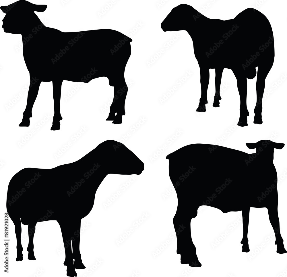 sheep silhouette with standing still pose