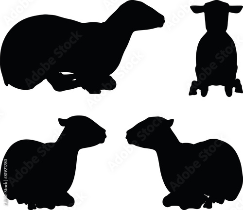 sheep silhouette with laying pose