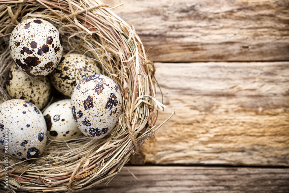 Quail eggs. Easter greeting card. Quail eggs. Easter greeting card.