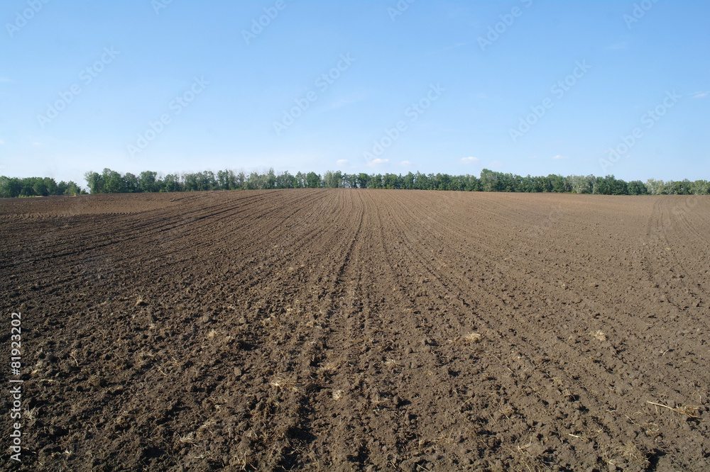 Texture of cultivated field Texture of cultivated field