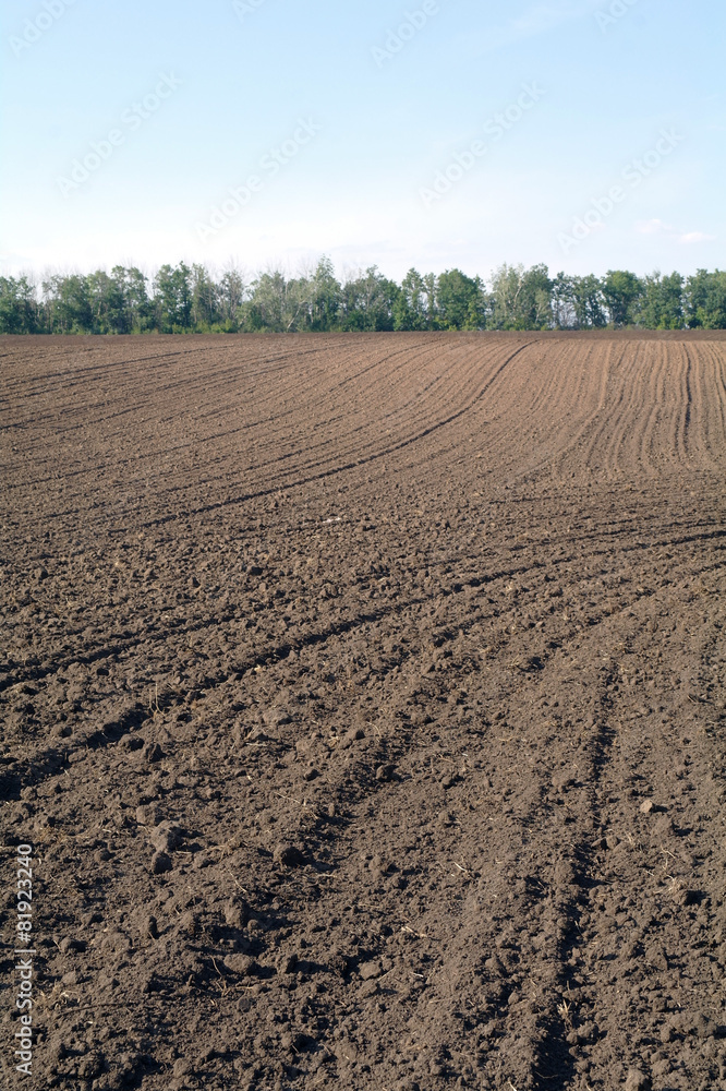 Texture of cultivated field Texture of cultivated field