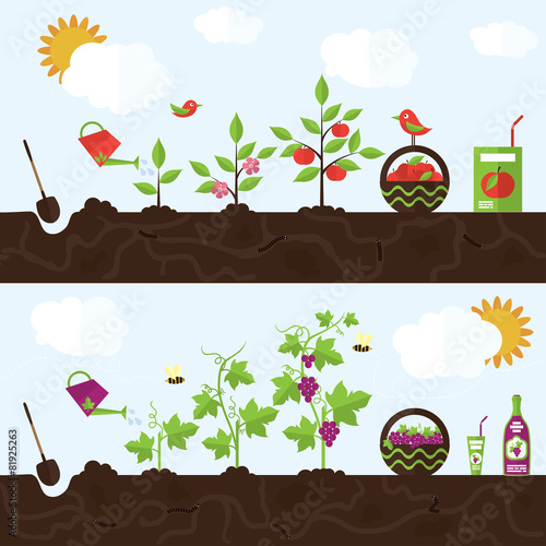 Vector garden illustration in flat style
