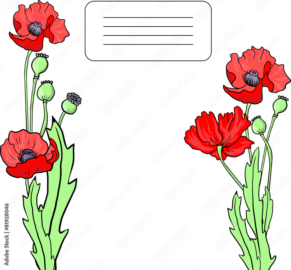 card with poppy flowers - obrazy, fototapety, plakaty 