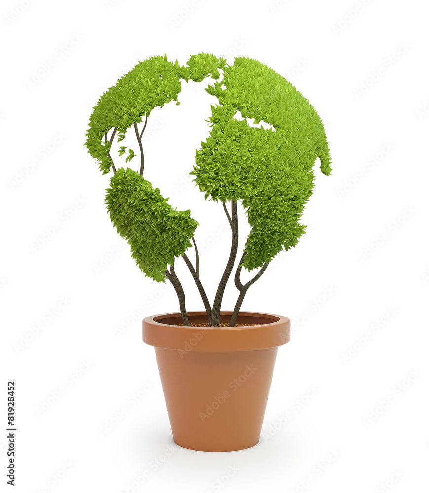 Pot plant shaped like a world map Pot plant shaped like a world map