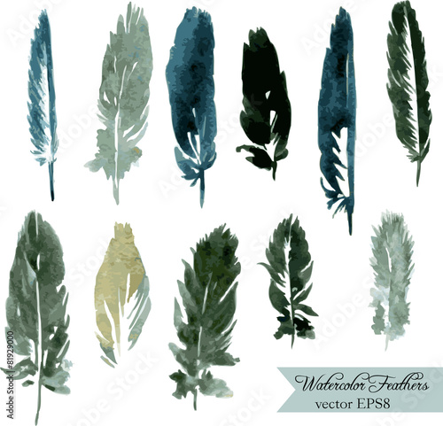 set of plumes