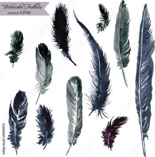 set of plumes