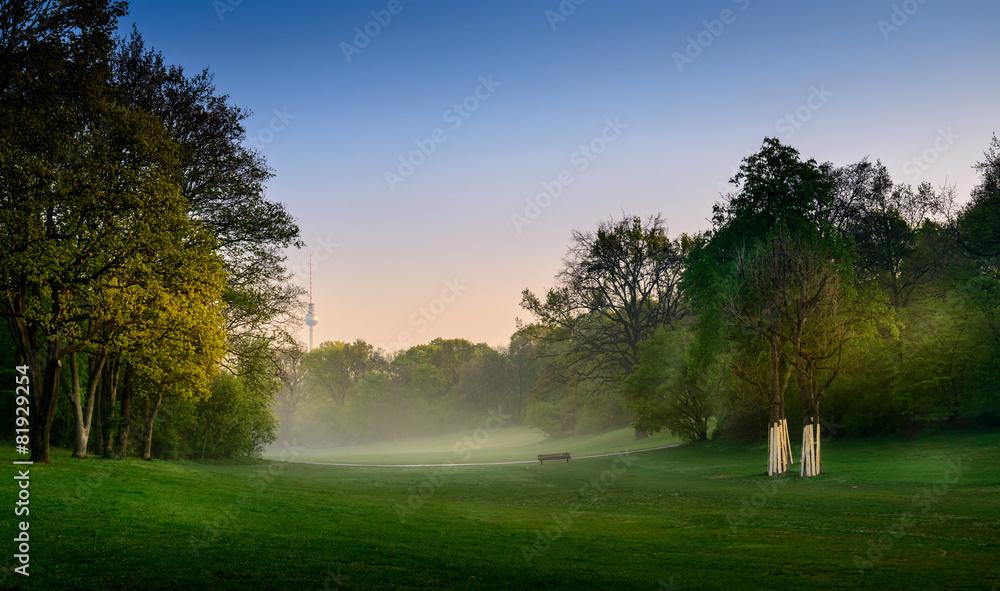 Fototapeta premium Morgennebel im Volkspark Hasenheide