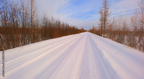 Winter landscape © snvv