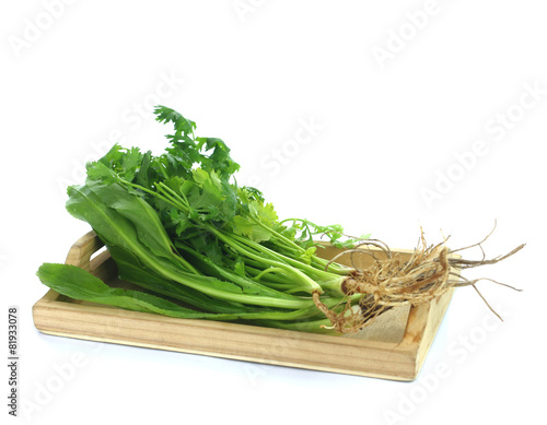 Fresh green vegetables on a white background.