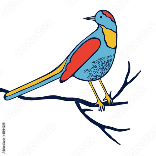 An illustration of beautiful colorful bird