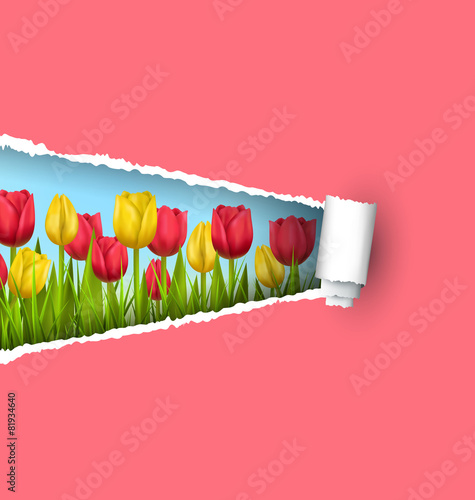 Green grass lawn with yellow and red tulips and ripped paper she
