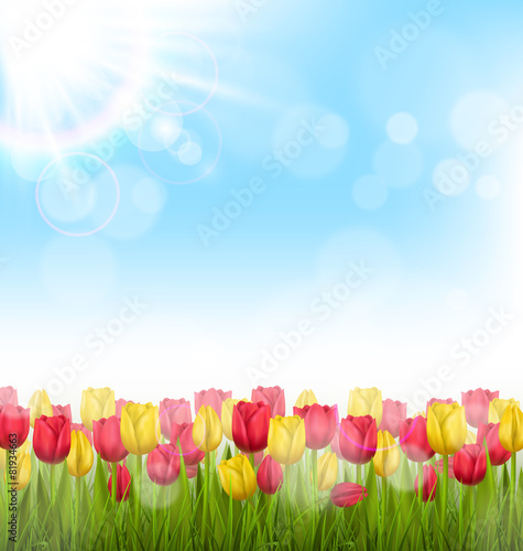 Green grass lawn with yellow and red tulips and sunlight on sky.