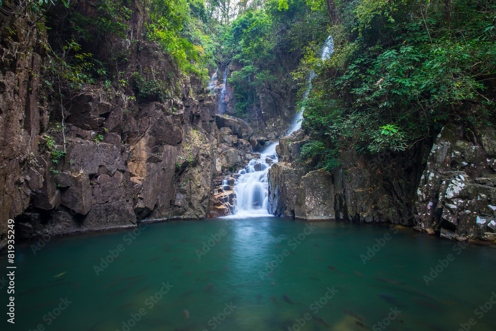 Fototapeta premium waterfall in nature on Namtok Phlio national park