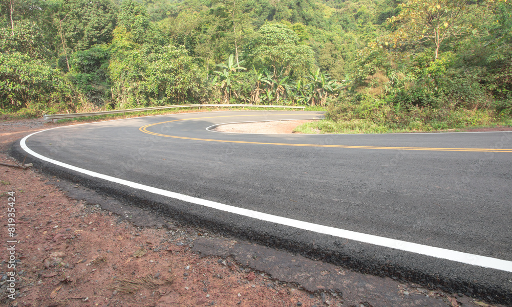 Fototapeta premium Forest road.