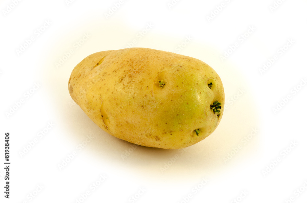 Potato on white background Potato on white background
