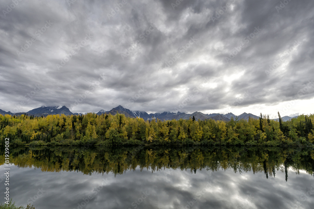 Dramatic Sky - Alaska Autumn, Aspen with Water Reflection Dramatic Sky - Alaska Autumn, Aspen with Water Reflection